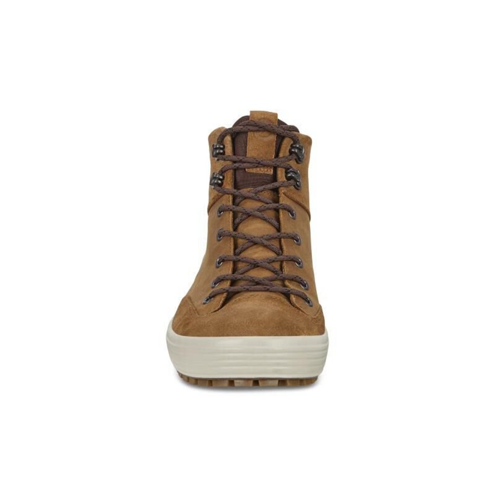 Botas Hombre - ECCO Soft 7 Tred Gtx Altos - Marrom - XQE516278